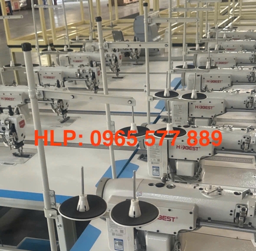 MÁY 1 KIM BƯỚC ĐIỆN TỬ HOBEST HB-0308 